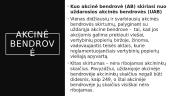 Skaidrės: verslo organizavimo formos 10 puslapis