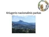 Kriugerio nacionalinis parkas