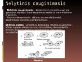 Įvairių organizmų dauginimasis ir vystymasis 12 puslapis