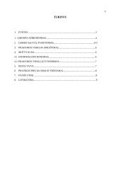 Šiaulių turizmo centro praktikos analizė 2 puslapis