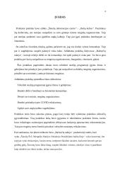 Šiaulių turizmo centro praktikos analizė 3 puslapis