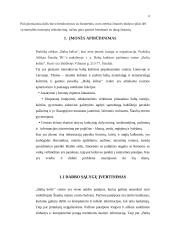 Šiaulių turizmo centro praktikos analizė 4 puslapis