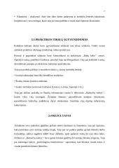 Šiaulių turizmo centro praktikos analizė 7 puslapis