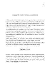 Šiaulių turizmo centro praktikos analizė 8 puslapis