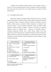 Druskininkų savivaldybės biudžeto analizė 11 puslapis