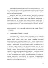 Druskininkų savivaldybės biudžeto analizė 12 puslapis