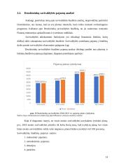 Druskininkų savivaldybės biudžeto analizė 13 puslapis
