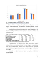 Druskininkų savivaldybės biudžeto analizė 17 puslapis