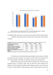 Druskininkų savivaldybės biudžeto analizė 18 puslapis