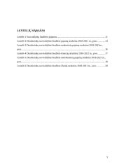 Druskininkų savivaldybės biudžeto analizė 2 puslapis