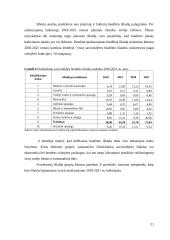 Druskininkų savivaldybės biudžeto analizė 20 puslapis