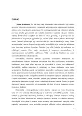 Druskininkų savivaldybės biudžeto analizė 4 puslapis