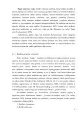 Druskininkų savivaldybės biudžeto analizė 8 puslapis