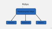 Pusiausvyros rūšys skaidrės 3 puslapis