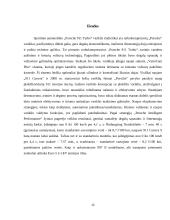 Porsche automobilių konstrukcijų ypatumai 11 puslapis