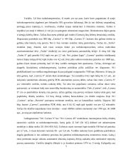 Porsche automobilių konstrukcijų ypatumai 5 puslapis