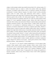 Porsche automobilių konstrukcijų ypatumai 6 puslapis