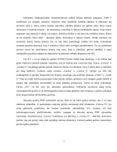 Porsche automobilių konstrukcijų ypatumai 7 puslapis