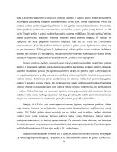 Porsche automobilių konstrukcijų ypatumai 9 puslapis