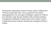 Vėjaraupiai – tai ūminė virusinė liga 2 puslapis