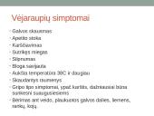 Vėjaraupiai – tai ūminė virusinė liga 7 puslapis