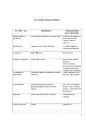 Vaikų slaugos praktikos ataskaita 6 puslapis