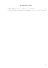 Ilgalaikio nematerialaus turto apskaitos analizė 2 puslapis