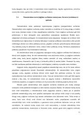 Ilgalaikio nematerialaus turto apskaitos analizė 11 puslapis