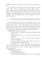 Ilgalaikio nematerialaus turto apskaitos analizė 12 puslapis