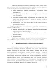 Ilgalaikio nematerialaus turto apskaitos analizė 13 puslapis