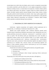 Ilgalaikio nematerialaus turto apskaitos analizė 16 puslapis