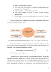 Ilgalaikio nematerialaus turto apskaitos analizė 17 puslapis