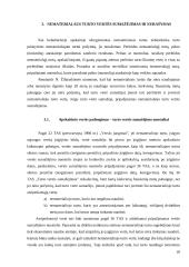 Ilgalaikio nematerialaus turto apskaitos analizė 20 puslapis