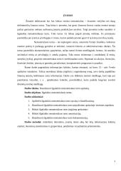 Ilgalaikio nematerialaus turto apskaitos analizė 3 puslapis