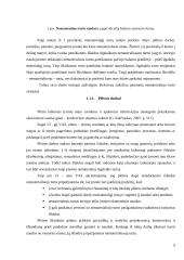 Ilgalaikio nematerialaus turto apskaitos analizė 6 puslapis