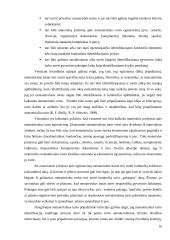 Ilgalaikio nematerialaus turto apskaitos analizė 10 puslapis