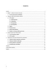 "Subway" kainodara ir pardavimų skatinimas 2 puslapis