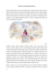 "Subway" kainodara ir pardavimų skatinimas 11 puslapis