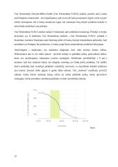 "Subway" kainodara ir pardavimų skatinimas 14 puslapis