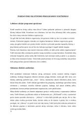 "Subway" kainodara ir pardavimų skatinimas 15 puslapis