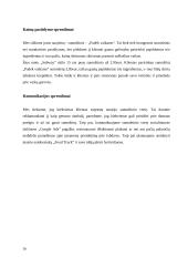 "Subway" kainodara ir pardavimų skatinimas 16 puslapis