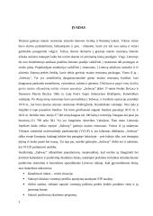 "Subway" kainodara ir pardavimų skatinimas 3 puslapis