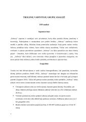 "Subway" kainodara ir pardavimų skatinimas 7 puslapis