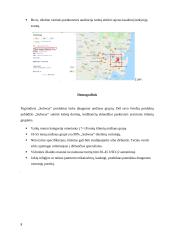 "Subway" kainodara ir pardavimų skatinimas 8 puslapis