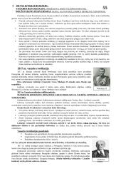 Naujieji laikai 4 puslapis