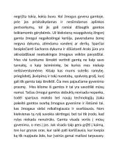 Žmogaus ir gamtos ryšys (Baranauskas ir Donelaitis) 4 puslapis