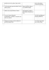 Vyrų ir moterų socialiniai vaidmenys 2 puslapis