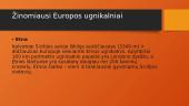 Europos ugnikalniai 8 puslapis