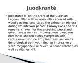 Route. Full of adventure 10 puslapis