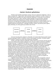 Atmintis. Atminties bendrasis apibūdinimas 3 puslapis